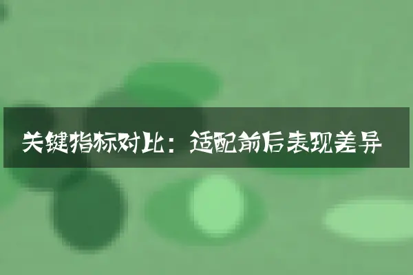 关键指标对比：适配前后表现差异